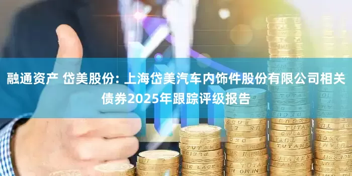 融通资产 岱美股份: 上海岱美汽车内饰件股份有限公司相关债券2025年跟踪评级报告