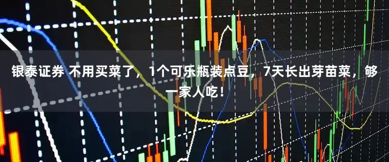 银泰证券 不用买菜了，1个可乐瓶装点豆，7天长出芽苗菜，够一家人吃！