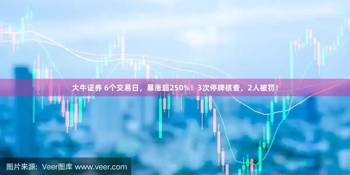 大牛证券 6个交易日，暴涨超250%！3次停牌核查，2人被罚！