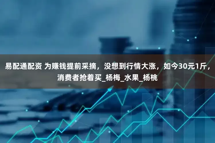 易配通配资 为赚钱提前采摘，没想到行情大涨，如今30元1斤，消费者抢着买_杨梅_水果_杨桃
