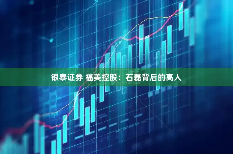 银泰证券 福美控股：石磊背后的高人