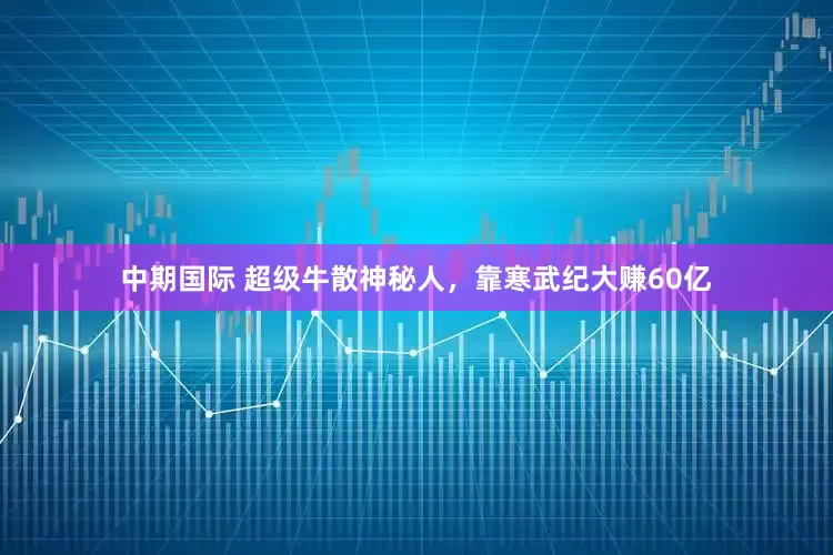 中期国际 超级牛散神秘人，靠寒武纪大赚60亿