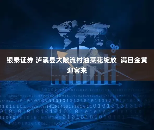 银泰证券 泸溪县大陂流村油菜花绽放  满目金黄迎客来