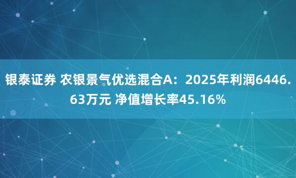 银泰证券 农银景气优选混合A:2025年利润6446.63万元 净值增长率45.16%
